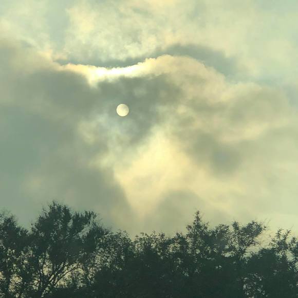 Meet your Posher, Aurelia - Picture 1 of 1